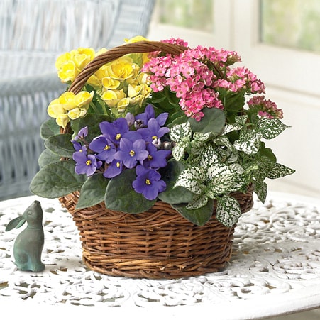 Spring Basket Planter